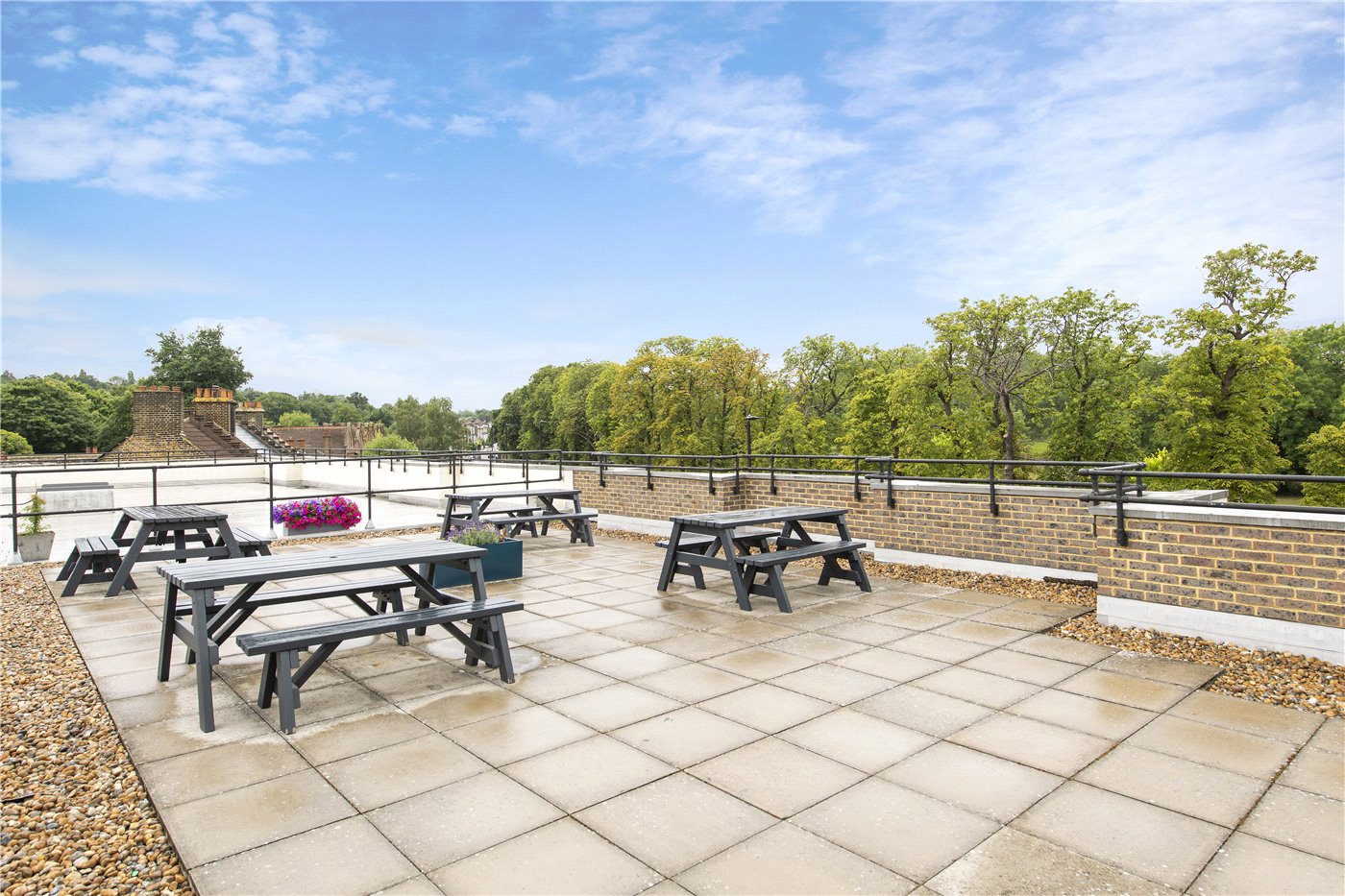 Communal Terrace